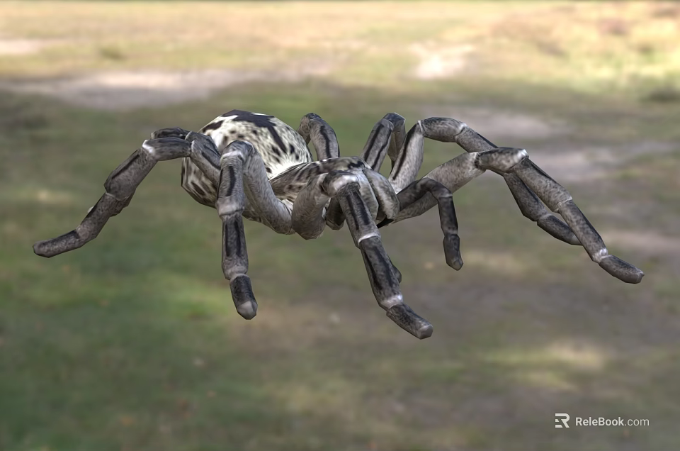 Reptile With Striped Body And Long Legs Crawling On Green Grassland Habitat 3d model 