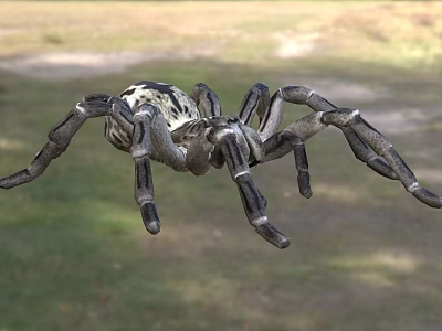 Reptile With Striped Body And Long Legs Crawling On Green Grassland Habitat 3d model