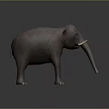 Realistic Grey Elephant 3D Model With Tusks Standing On Dark Background 3d model