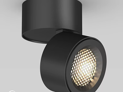 Black Modern Downlight Spotlight With Illuminated Mesh Design Ceiling Mount 3d model