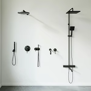 Shower Combination Shower Faucet Toilet 3d model
