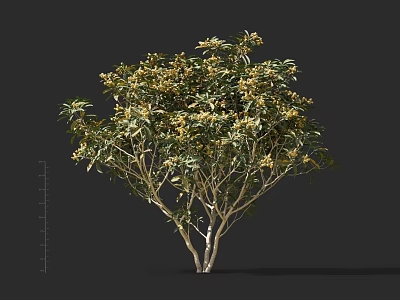 Vibrant Arbor with Dense Green Leaves Yellow Flowers and Slender Branches 3d model