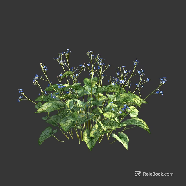 Vibrant Blue Small Flowers With Green Leaves Fresh Plant Foliage 3d model 