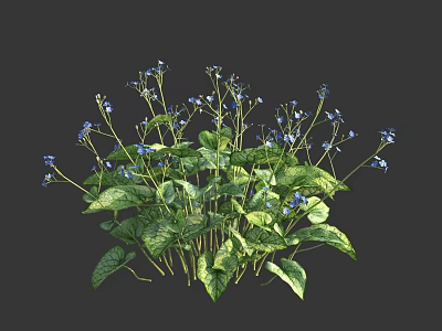 Vibrant Blue Small Flowers With Green Leaves Fresh Plant Foliage 3d model