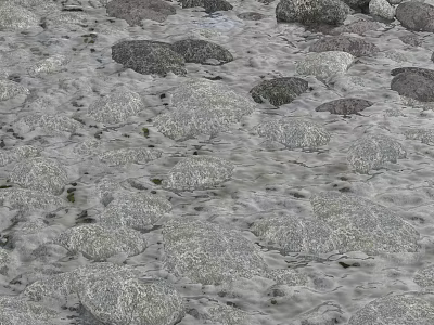 Natural Landscape With Shallow Water Flowing Over Scattered Stones And Rocky Surface 3d model