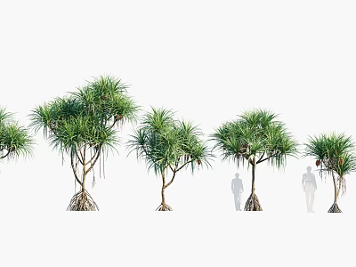 Various Sizes of Green Leafy Trees with Trunk Details and Human Silhouette for Scale 3d model