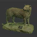 Detailed Cheetah Taxidermy Mount Standing On Rock With Information Plaque