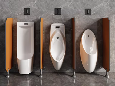 Modern Ceramic Urinals In Public Restroom With Partition And Wall Mounted Design 3d model