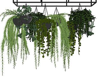 Modern hanging basket potted hanging orchid 3d model