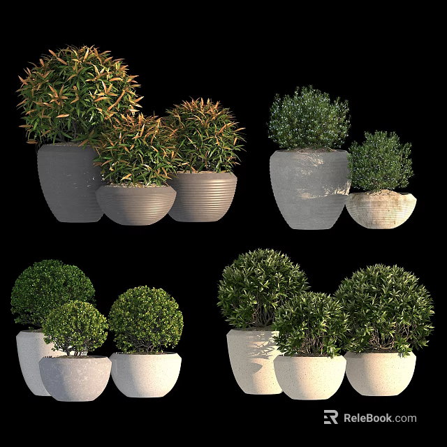 Bonsai Potted Plants With Various Ceramic Pots And Round Green Foliage Shapes 3d model 