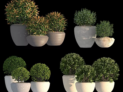 Bonsai Potted Plants With Various Ceramic Pots And Round Green Foliage Shapes 3d model
