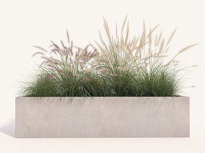 Roadside Rectangular Concrete Planter Featuring Green Purple Grasses And Tall Herbs For Landscaping 3d model