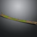 Curved Wooden Bridge Structure With Green Vegetation Covered Surface And Metal Railings