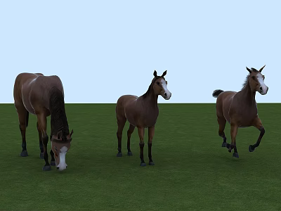 Three Brown Horses Grazing Standing And Running On Green Grassland With Light Blue Sky 3d model