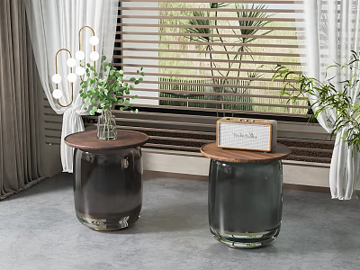 Two Modern Side Tables With Wooden Tops And Dark Bases Near Potted Plants And Blinds 3d model