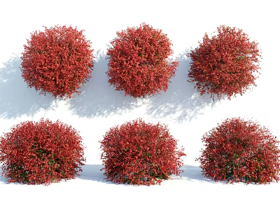 Red Round Shaped Shrubs Arranged in Two Rows Three Columns for Landscaping 3d model