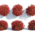 Red Round Shaped Shrubs Arranged in Two Rows Three Columns for Landscaping 3d model