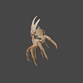 Realistic Brown Crab With Large Claws On Gray Background