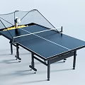 Black Table Tennis Table With Net Mobile Wheels And Ball Collector Design