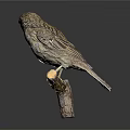Small Brown Bird Perched On Wooden Branch With Detailed Feathers And Reflection