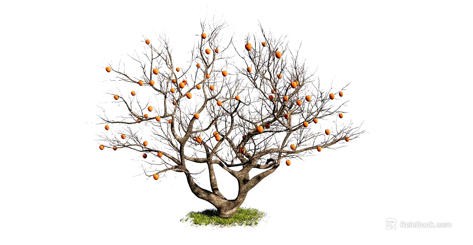 Bare Branched Arbor Bearing Orange Fruits With Thick Trunk On Green Grass 3d model 