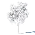 Lush Fruit Tree With Vibrant Green Leaves Yellow Fruits And Sturdy Brown Trunk