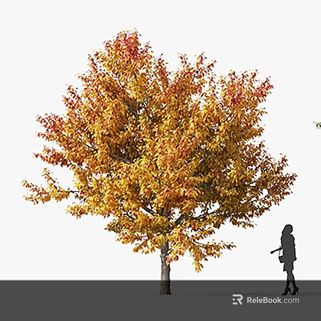 Tall Autumn Arbor With Lush Orange Red Leaves And Walking Silhouette In Outdoor Scene 3d model 