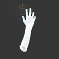 Realistic Human Hand and Arm Anatomical Model with Natural Skin Tone