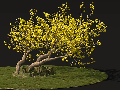 Beautiful Tree With Yellow Flowers Twisted Trunk And Mossy Roots On Green Grass 3d model