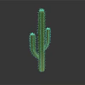 Green Spiky Cactus Plant with Multiple Branches on Dark Background and Smooth Reflection