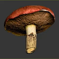 Red Mushroom With Vibrant Red Cap And Yellow Stem On Gray Background