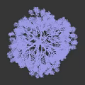 Leafless Deciduous Tree with Snow Covered Branches against Gray Background