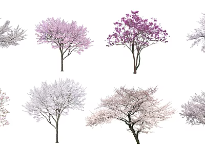 Various Flowering Arbor Species With Pink Purple White Blossoms And Different Crown Shapes 3d model