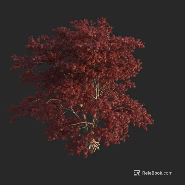 Vibrant Red Leaf Arbor with Lush Dense Foliage and Full Canopy Structure 3d model 