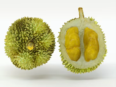 Fresh Ripe Whole And Halved Durian Fruit Showing Yellow Flesh Inside 3d model