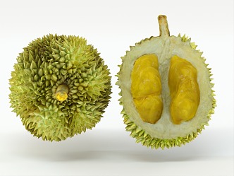 Modern Durian 3d model