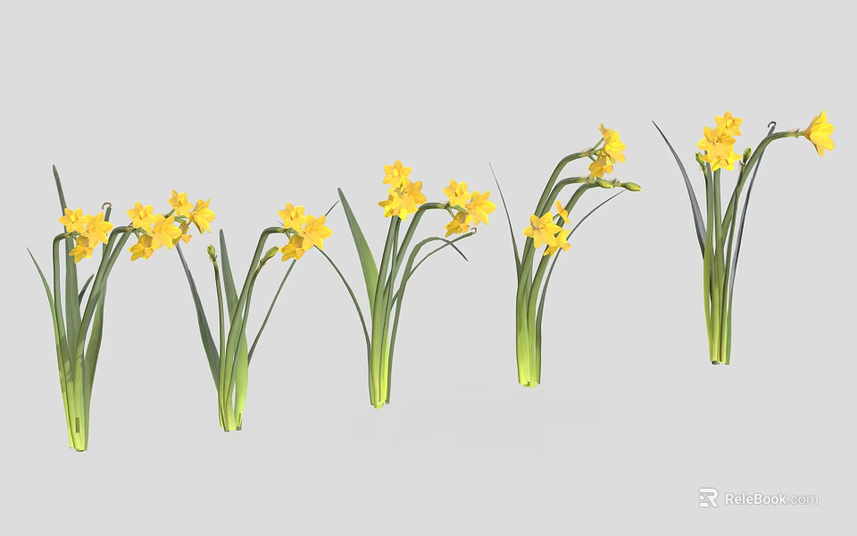 Beautiful Yellow Daffodils with Green Stems and Leaves Arranged in a Row 3d model 
