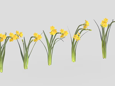 Beautiful Yellow Daffodils with Green Stems and Leaves Arranged in a Row 3d model