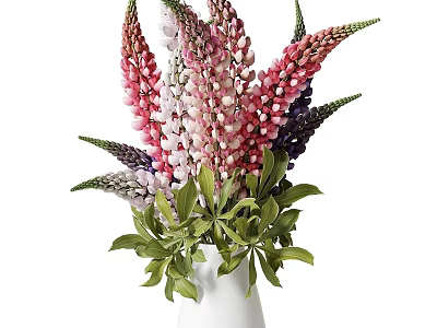 Colorful Lupine Flowers in White Vase with Pink Purple and Green Leaves 3d model