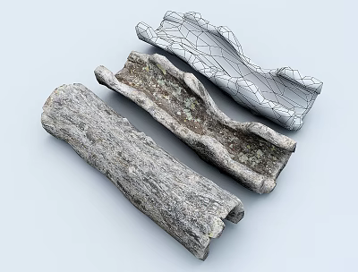 Natural Arbor Trunk Sections Featuring Varied Shapes Cracked Bark and Mossy Texture 3d model