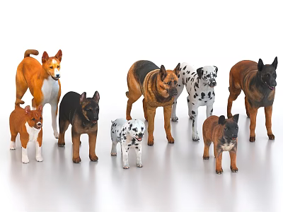 Diverse Collection of Different Dog Breeds with Various Colors Standing Together 3d model