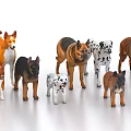 Diverse Collection of Different Dog Breeds with Various Colors Standing Together