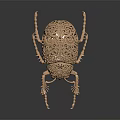 Intricate Beetle Shaped Sculpture Carving With Elaborate Hollow Patterns And Smooth Surface