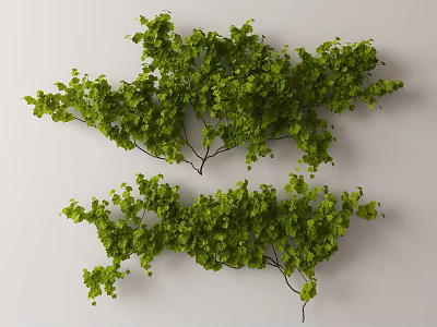 Climbing Vines With Lush Green Leaves For Natural Wall Decoration Design 3d model
