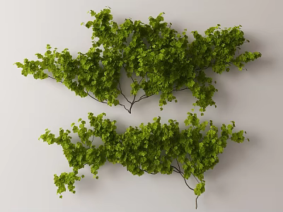 Modern Vine 3d model