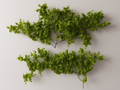 Modern Vine 3d model