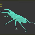 Detailed View of Red Brown Rhinoceros Beetle With Large Mandibles on Dark Background
