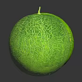 Two Fresh Green Melons With Netlike Texture And Small Stems On Black Reflective Surface
