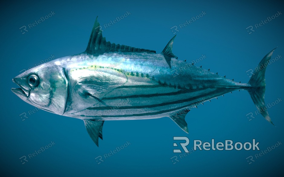 tuna skipjack fish sea fish model