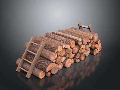 Neatly Stacked Firewood and Wooden Ladder as Essential Household Supplies for Home Use 3d model